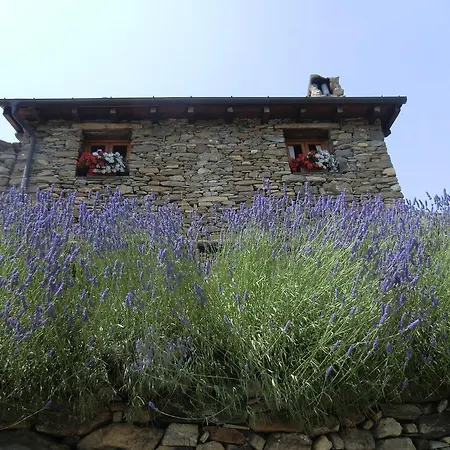 Agriturismo La Fontana Dell'olmo Landhaus